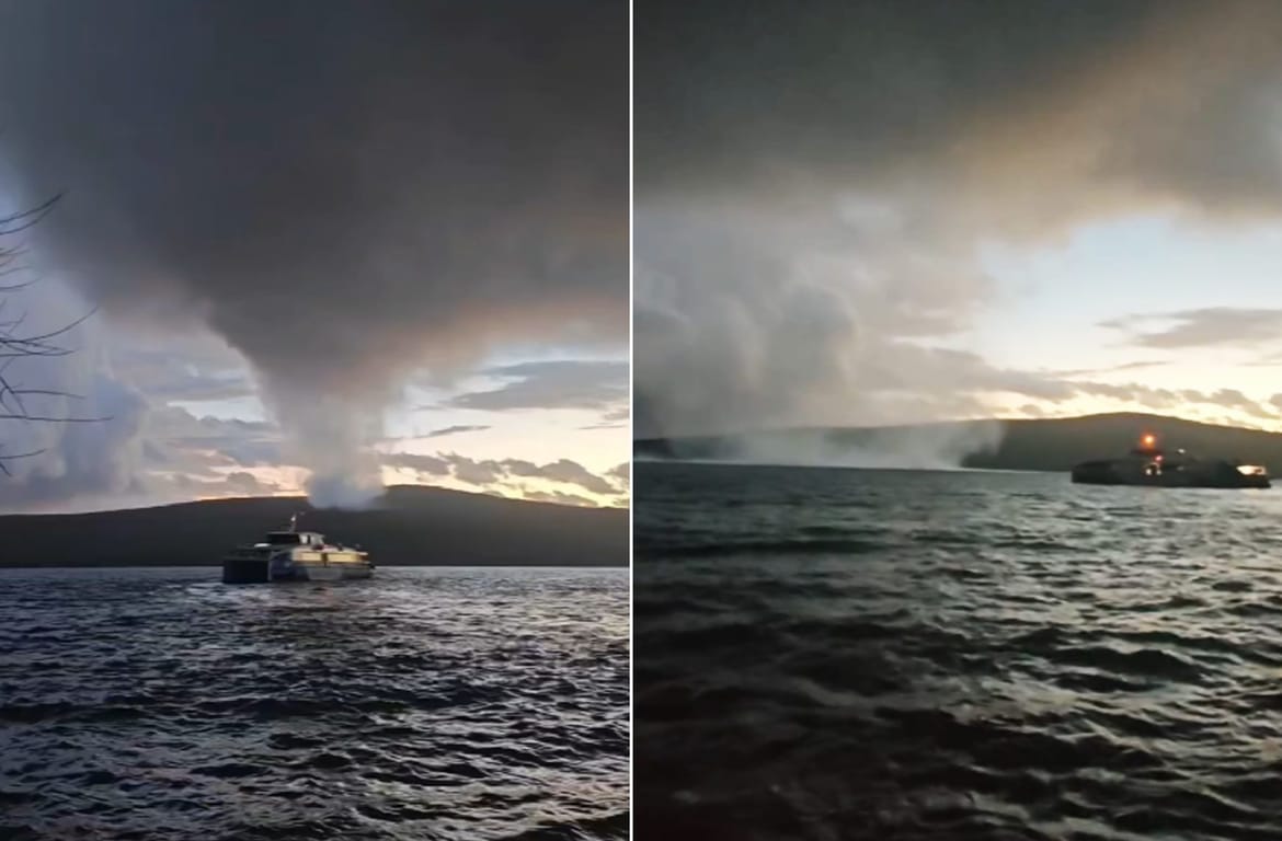 VIDEO: OČI U OČI S PIJAVICOM Smireni kapetan zaustavio Jadrolinijin katamaran