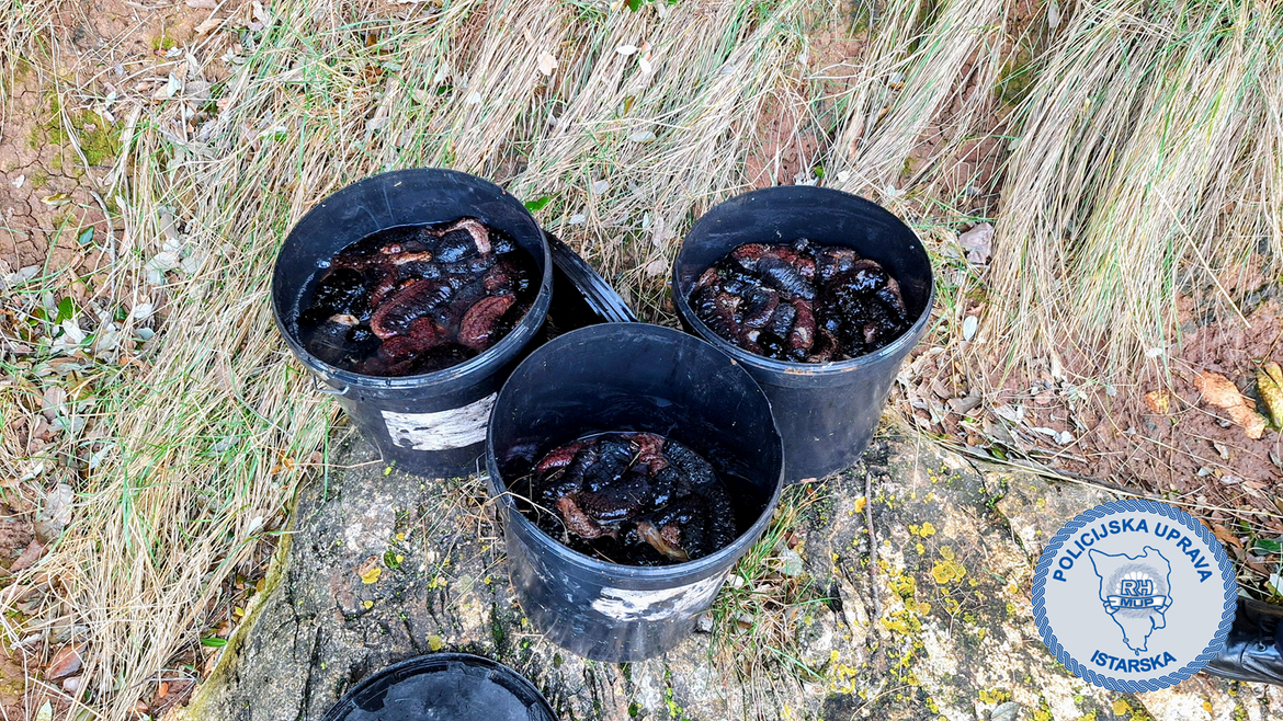 Kod Banjola u moru zatečen 30-godišnji kriminalac s više od 100 kg ilegalno pohvatanih trpova!