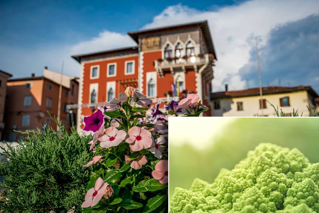 Vodnjan uvodi besplatno savjetovalište za prehranu