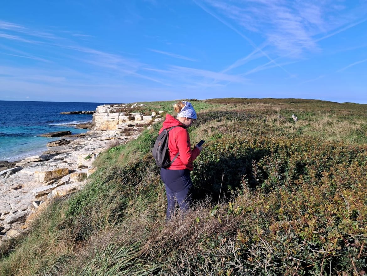 Terensko istraživanje morskih vranaca na području Nacionalnog parka Brijuni