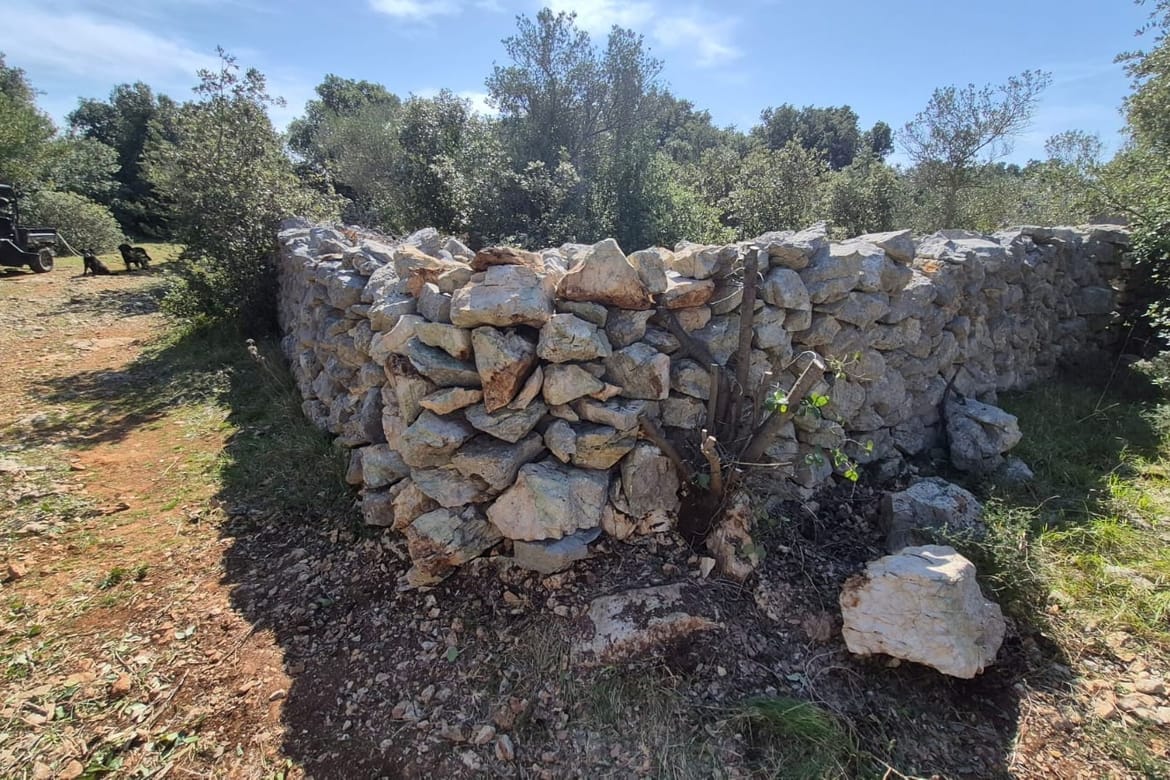 Na 22 lokacije na Olibu spašeni suhozidi: "Kamen treba poštovati"