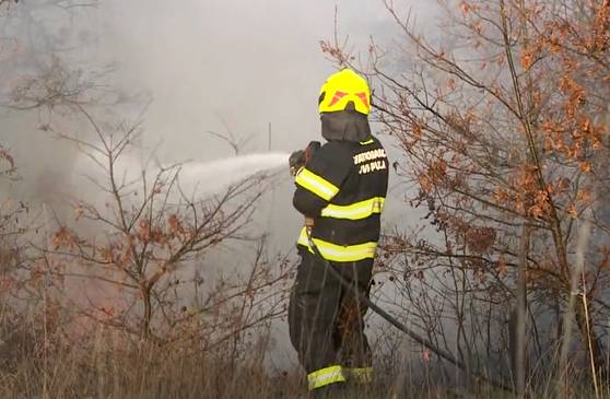 Požar u općini Barban i Istri, bura otežava gašenje