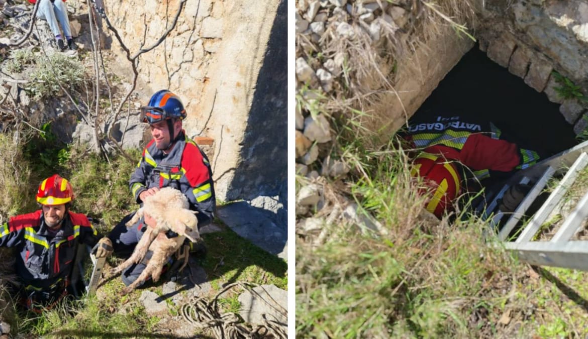 Brački vatrogasci spasili janje iz četiri metra dubokog groba