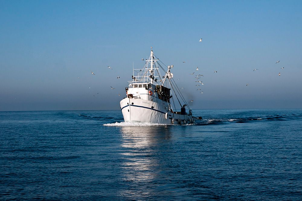 Objavljena Odluka o ribarskim plovilima autoriziranima za rad u Jabučkom džepu do 2026. godine