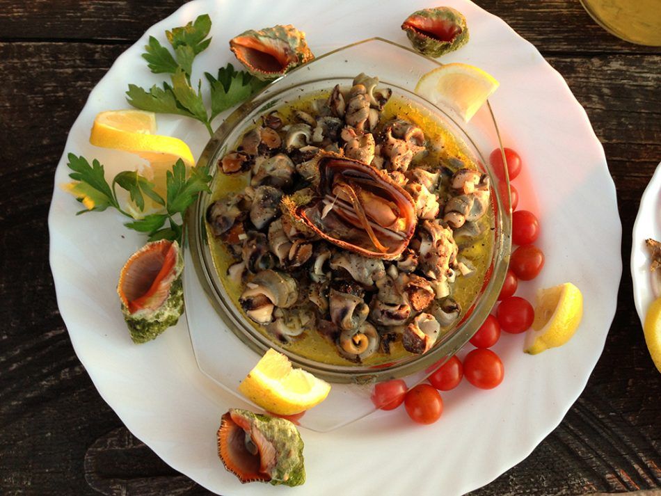 ŽELINA KUŽINA Morski puževi na salatu