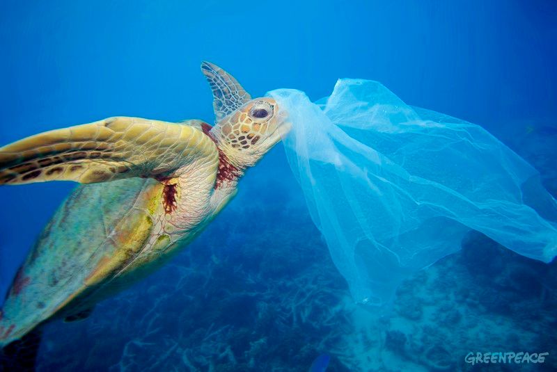 BRUXELLES ZABRANJUJE: Nema više plastičnih vrećica, štapića za uši, balona, slamki, čepova