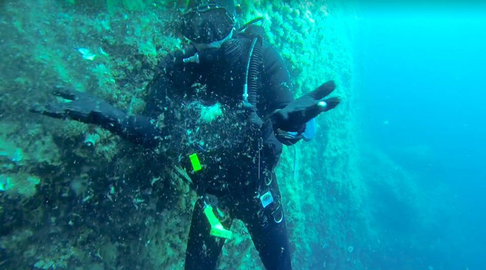 Ronioci kod otočića Sveti Andrija: Sve je obraslo sluzavom travom, ne znamo što je!