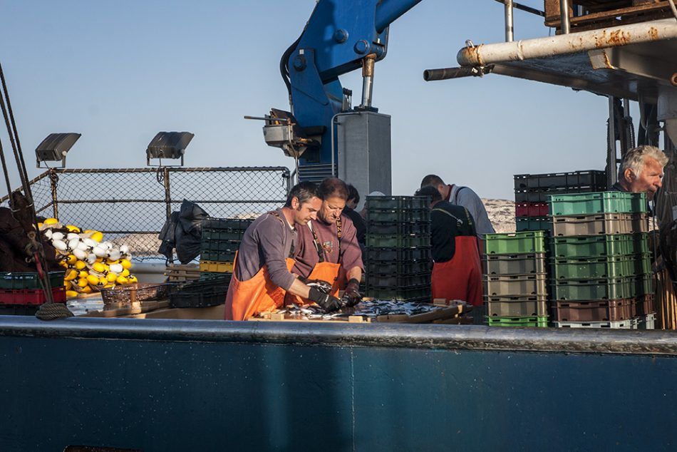 Objavljeno pet natječaja za dodjelu potpora sektoru ribarstva