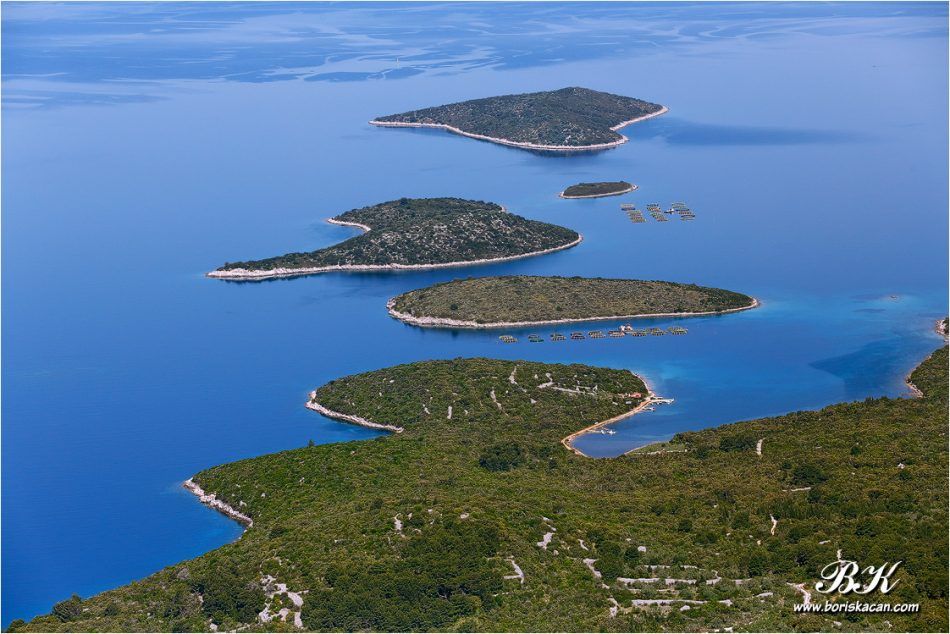 Započela provjera iskaznica za povlašteni prijevoz ka otocima