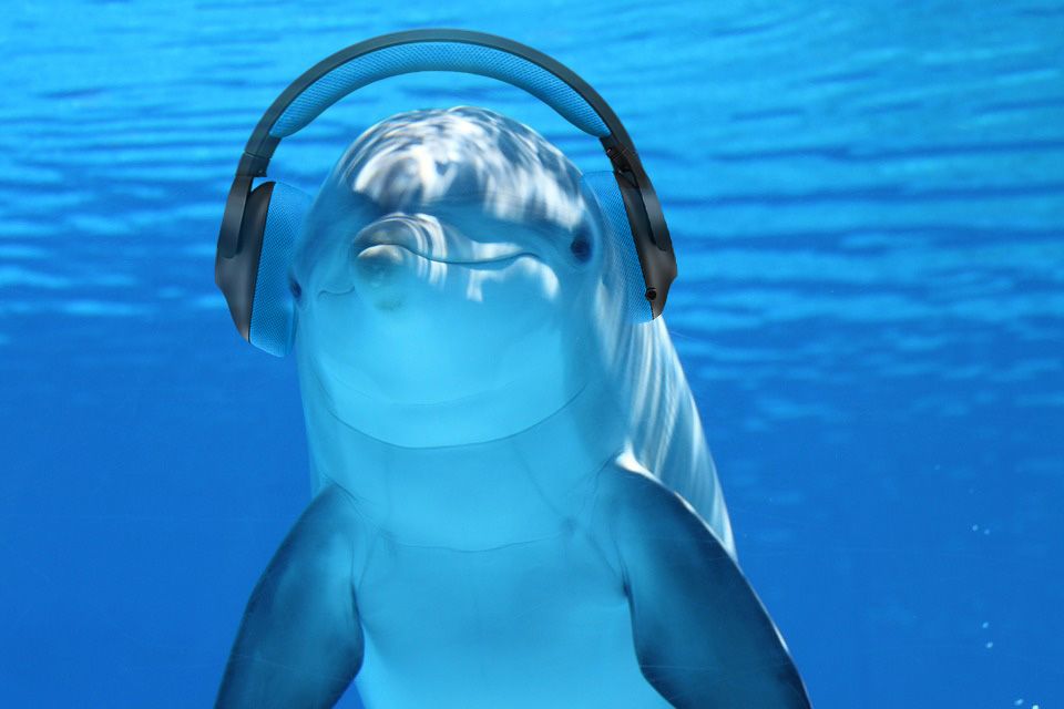 ZNANOST ISTRAŽUJE Koliki su razmjeri buke u Jadranu?