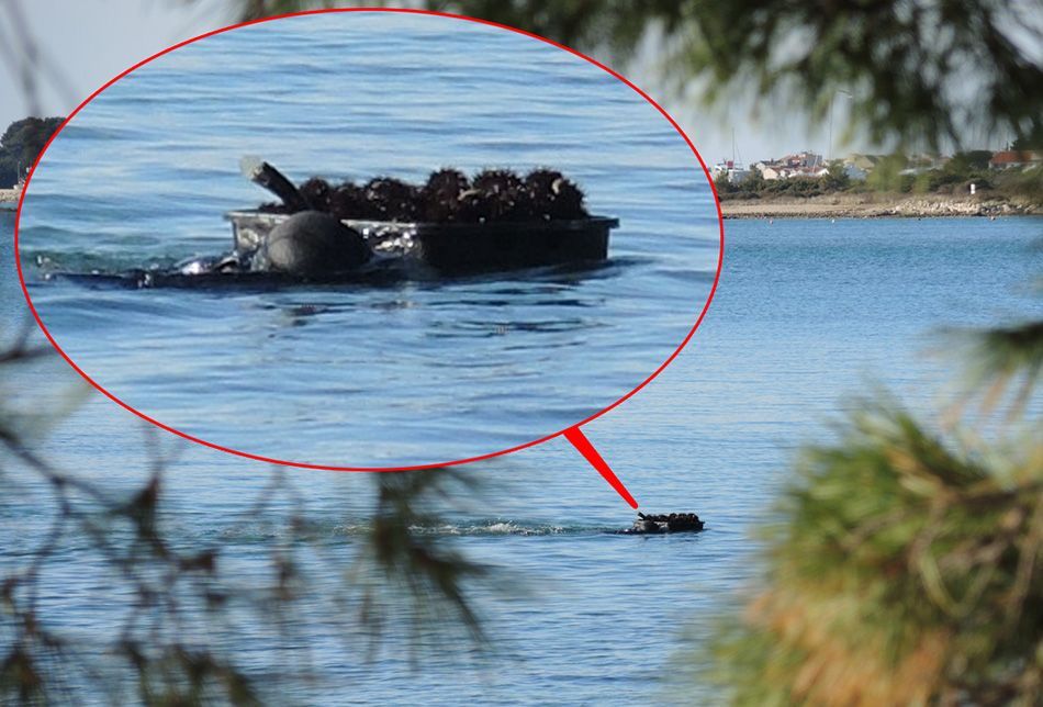 JEŽINCI: Drugdje zaštićeni, kod nas ih skuplja tko stigne: „Pune vreće trpaju u automobile i voze u nepoznato“