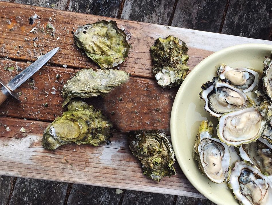 NE BACAJTE PRAZNE LJUŠTURE KAMENICA: Dubrovčani znaju kako ih dobro iskoristiti