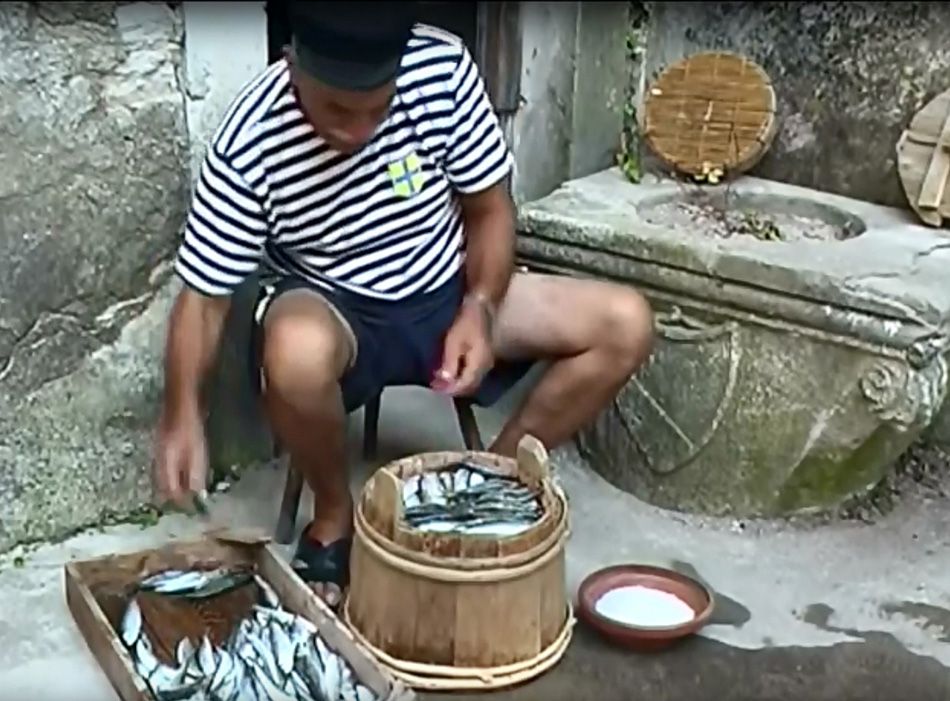 Za soljenje najbolja “majska srdela”, no kako to činiti, kad nam dolazi novi lovostaj?