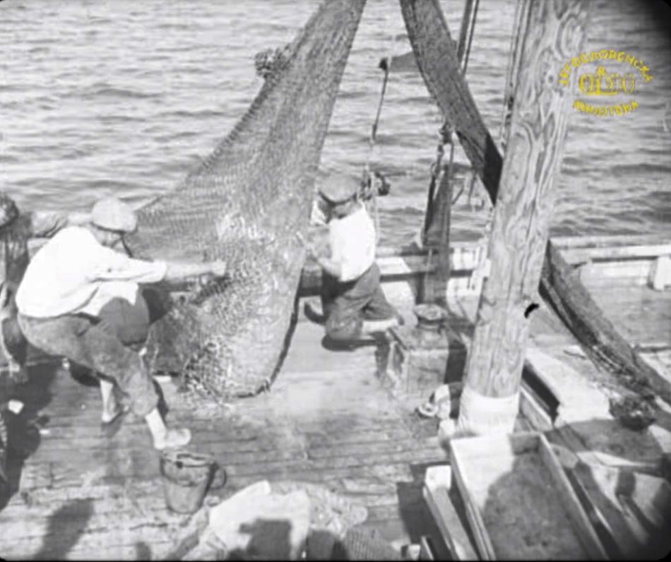 VIDEO Ovako se ribarilo na Jadranu 1934. godine