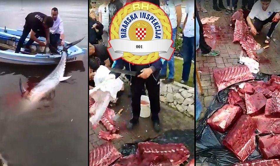 MINISTARSTVO: Zbog ubijene tune u Bibinju inspekcija na terenu – slijede kazne!