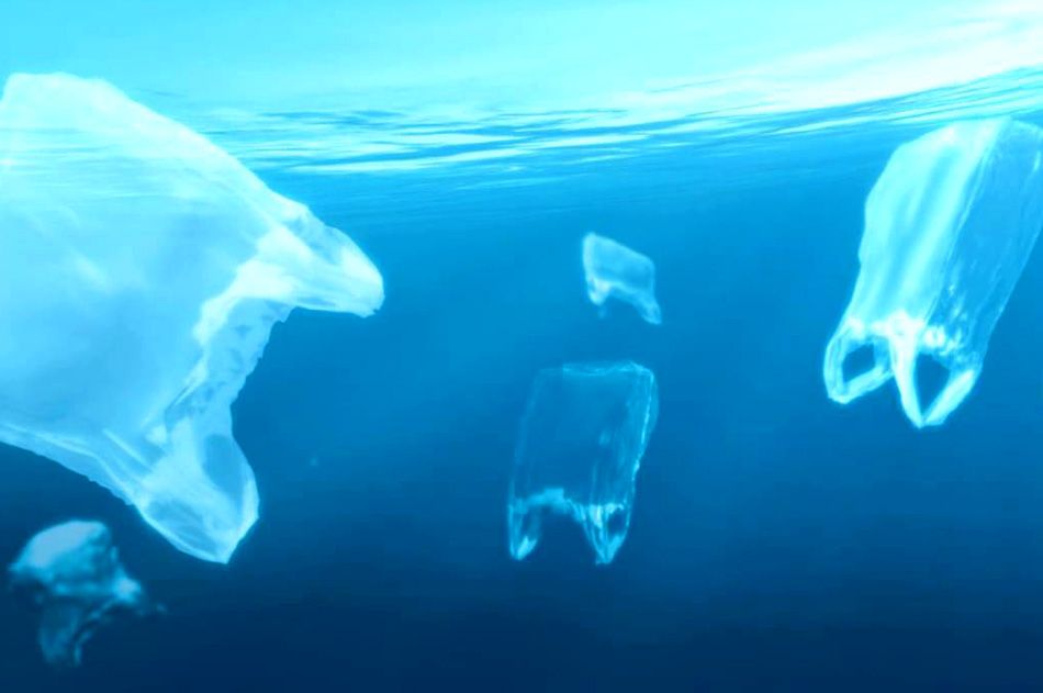 KORAK KA OČUVANJU JADRANA Odzvonilo jednokratnoj plastičnoj ambalaži