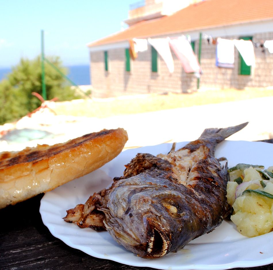 ŽELINA KUŽINA Kantar s gradela