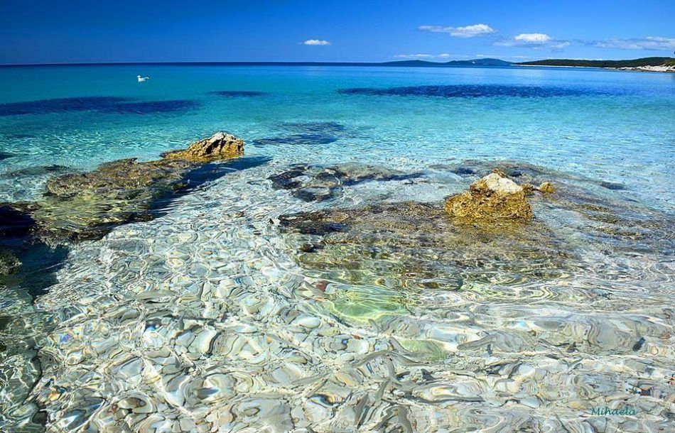 Vrijedne ruke volontera ovu subotu čiste otok Silbu