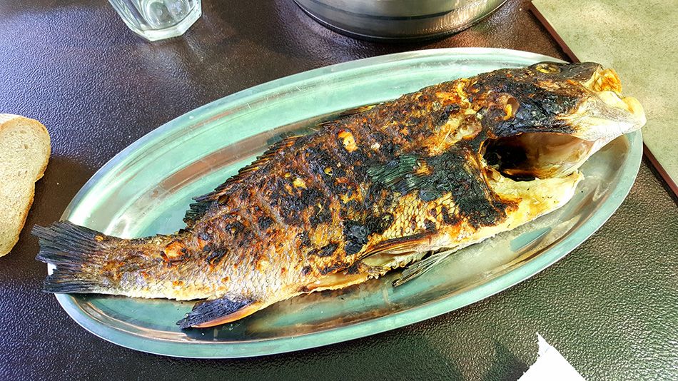 ŽELINA KUŽINA Kavala na gradelama