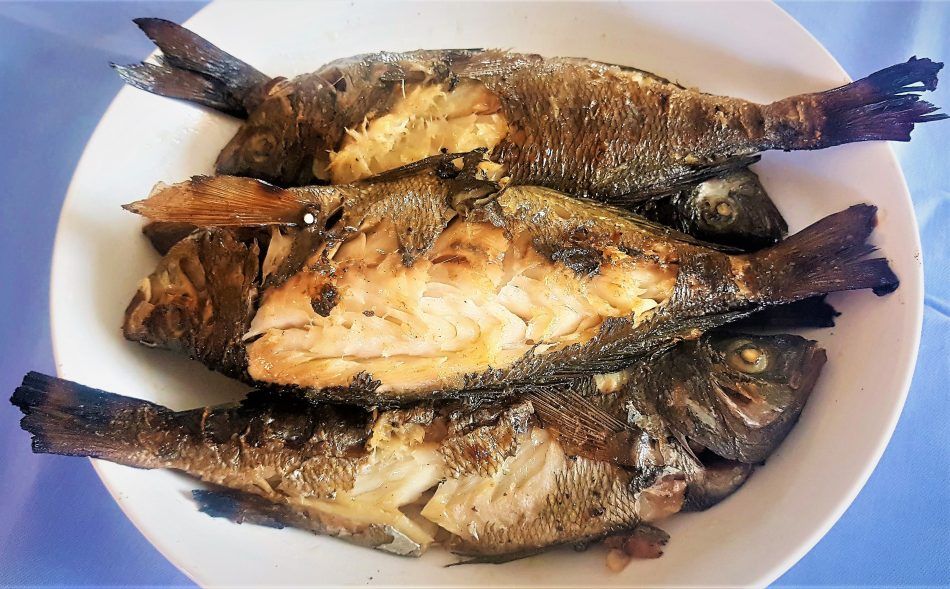 ŽELINA KUŽINA Traglje (Modraci) s gradela