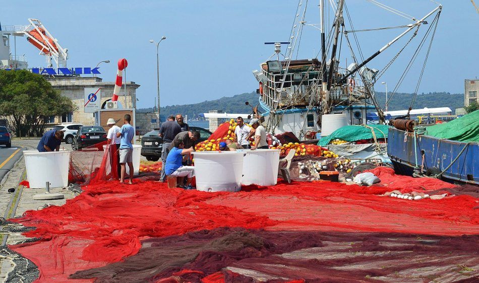 Inicijativa istarskih ribara: “Želimo partnerstvo s EU parlamentom i gospodarskim sektorom u Hrvatskoj”