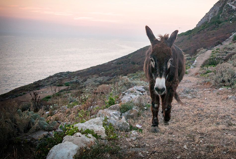 Uskršnja priča o Leru