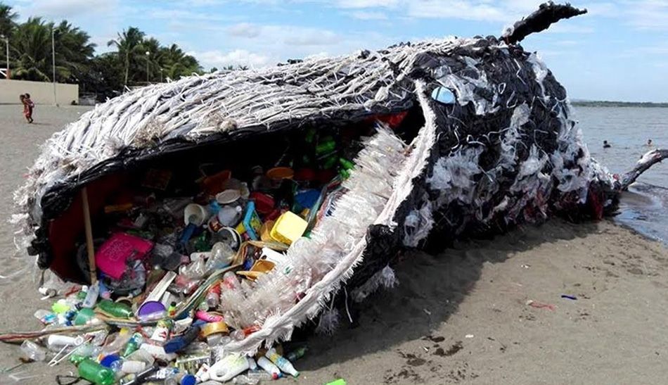 U Italiji uginuo kit prepun plastike, to je već peti u pet mjeseci