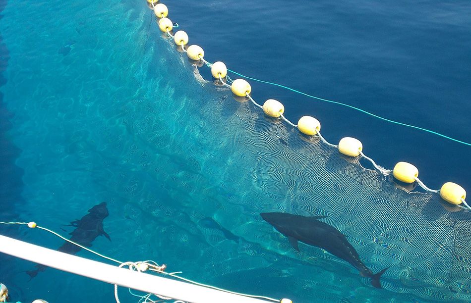 Kali tuni dodijeljena koncesija u Iškom kanalu vrijedna više od pola milijarde kuna