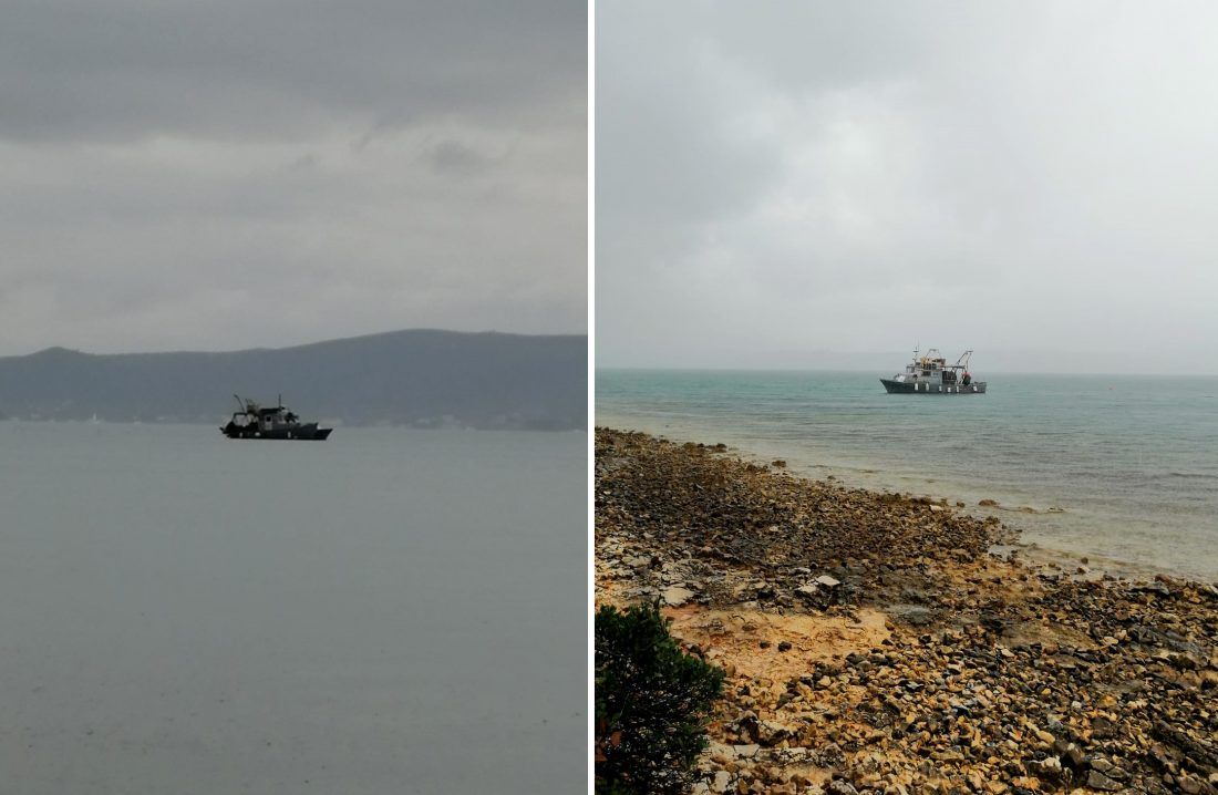 Građani upozorili na krivolov migavicom – Ministarstvo: „To je dozvoljeni šabakun“