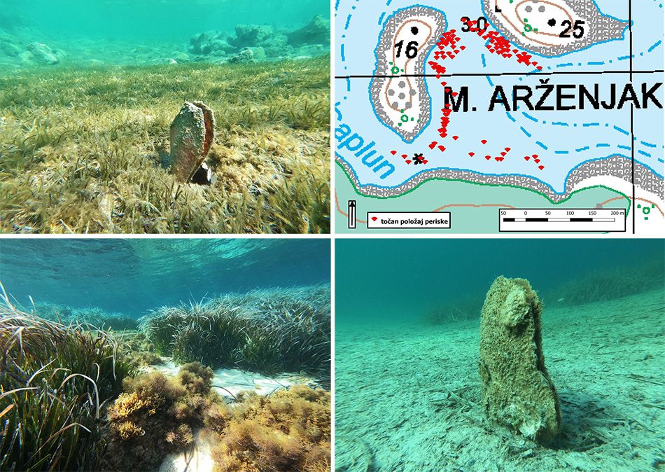 Park prirode Lastovsko otočje: „U našem zaštićenom području, nažalost, nema više živih periski!“