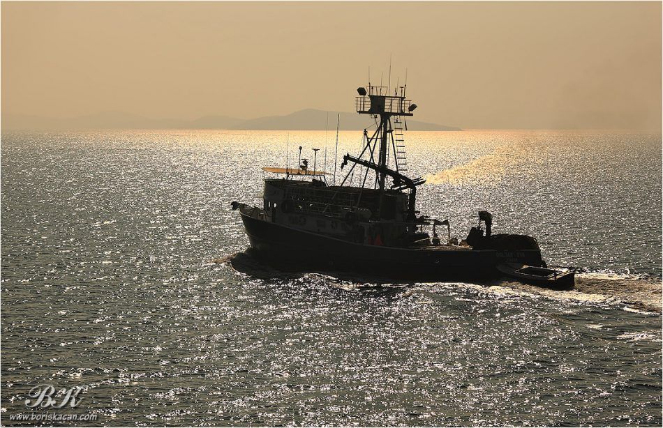 Nova privremena obustava ribolova zbog pandemije COVID-19