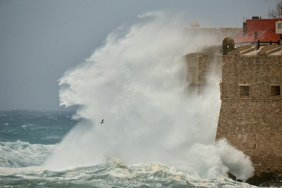 PETAR BARANOVIĆ: Valovi upozorenja
