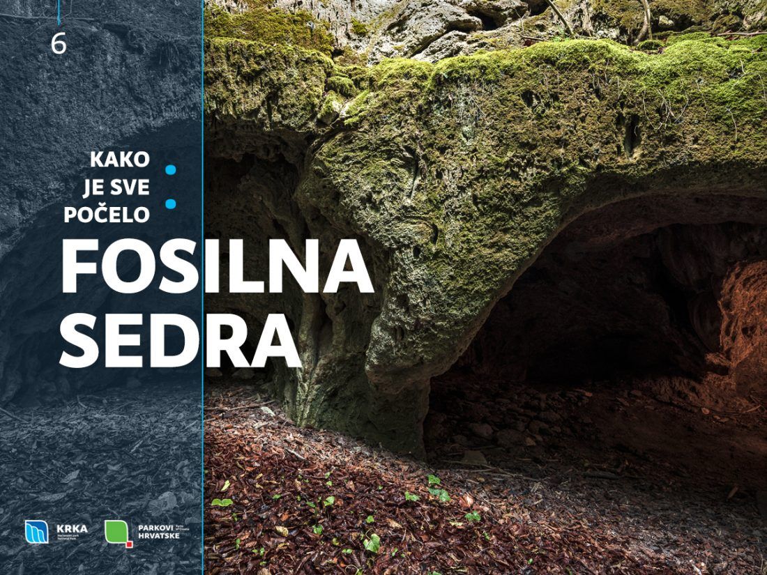 FENOMEN KRŠA Na području nekadašnjeg toka Krke je sedra stara 125 000 godina