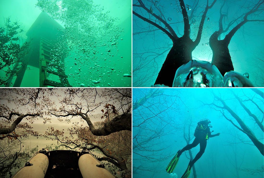 FOTO: PONIKVE Zaroni u čarobnu šumu