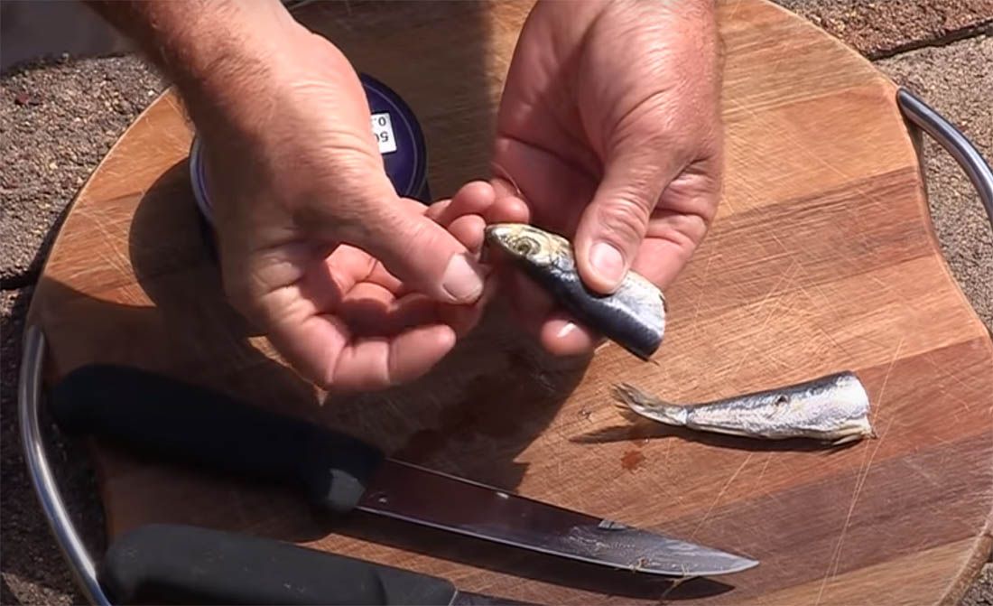 SRDELA Odličan mamac, bilo da je svježa ili usoljena!