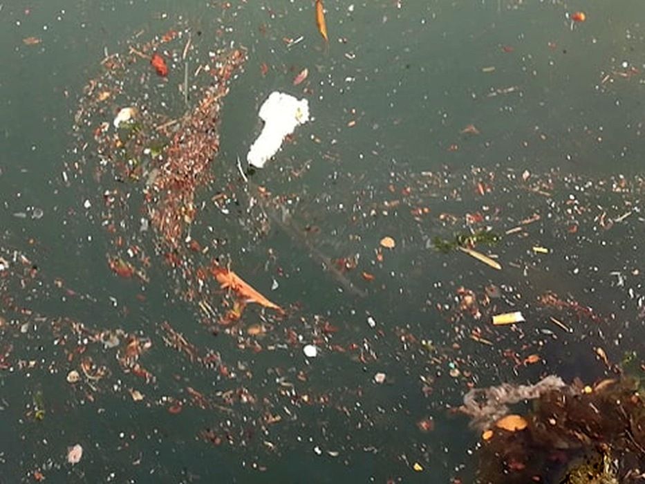 HRVATSKA AKTIVNA U ZAŠTITI SREDOZEMNOG MORA: Održan četvrti MENELAS sastanak