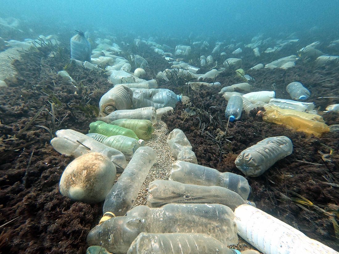 Kako oporavak Europe učiniti kružnim i zelenim? Industrija plastike svjesna je svojih obveza