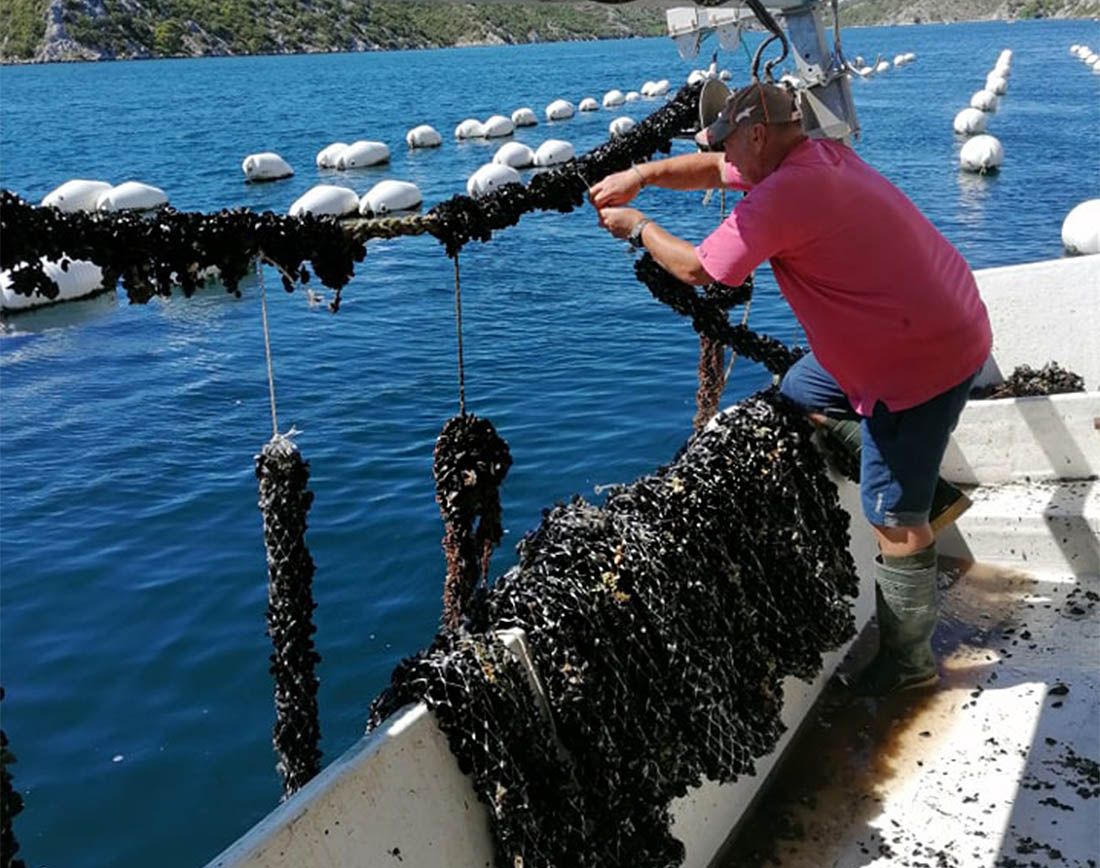 Ministrica Vučković u Šibeniku: “Stopostotna potpora uspostavi Centar za razvoj marikulture u Mandalini”