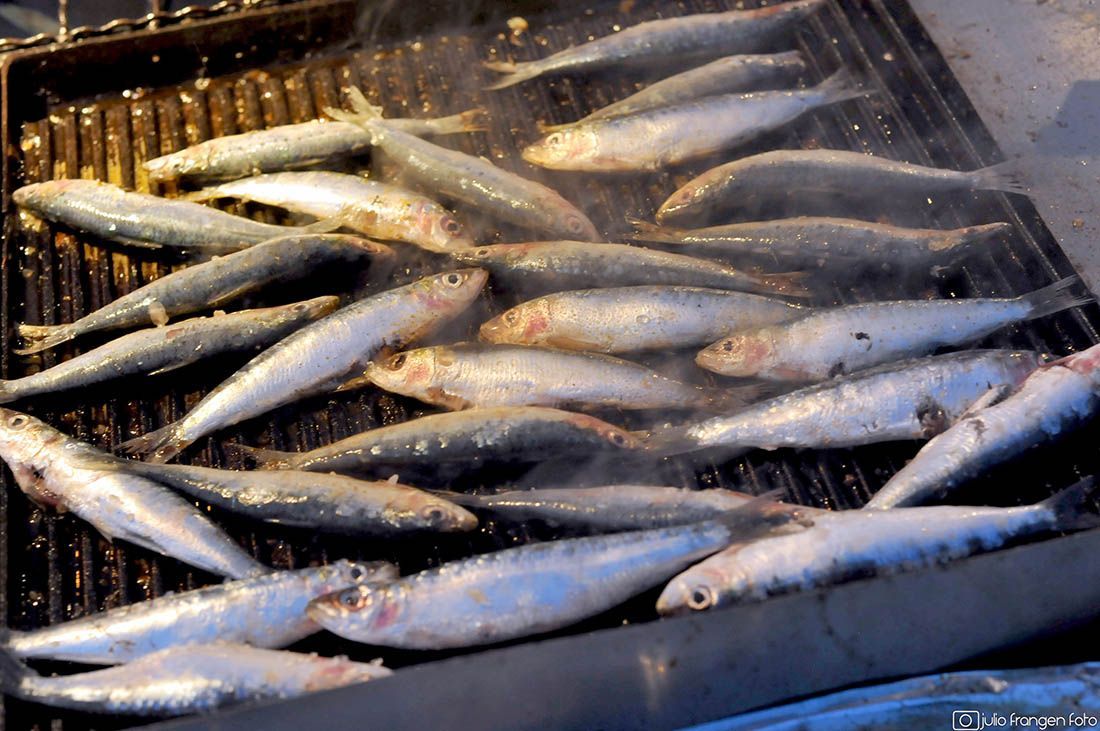 Ministrica poljoprivrede i dvoje zastupnika u Saboru netočno o potrošnji ribe