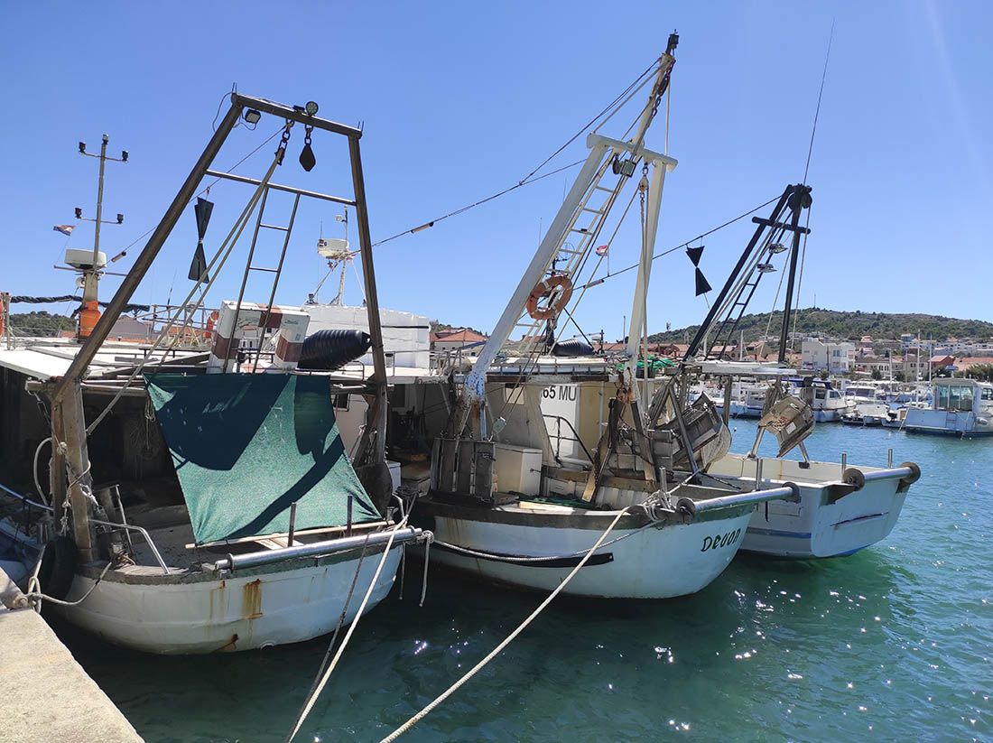 Isplaćeno više od 675 milijuna kuna COVID pomoći poljoprivrednicima i ribarima