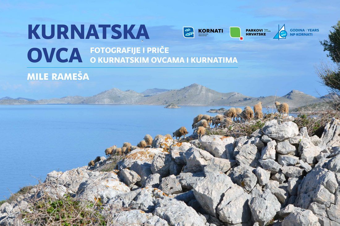 “Kurnatska ovca” Fotografije i priče o kurnatskim ovcama i Kurnatima autora Mile Rameše