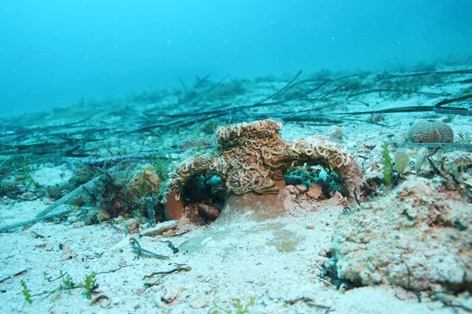 Splitska policija kradljivcu zaplijenila 69 kilograma trpova i zaštićenu amforu!