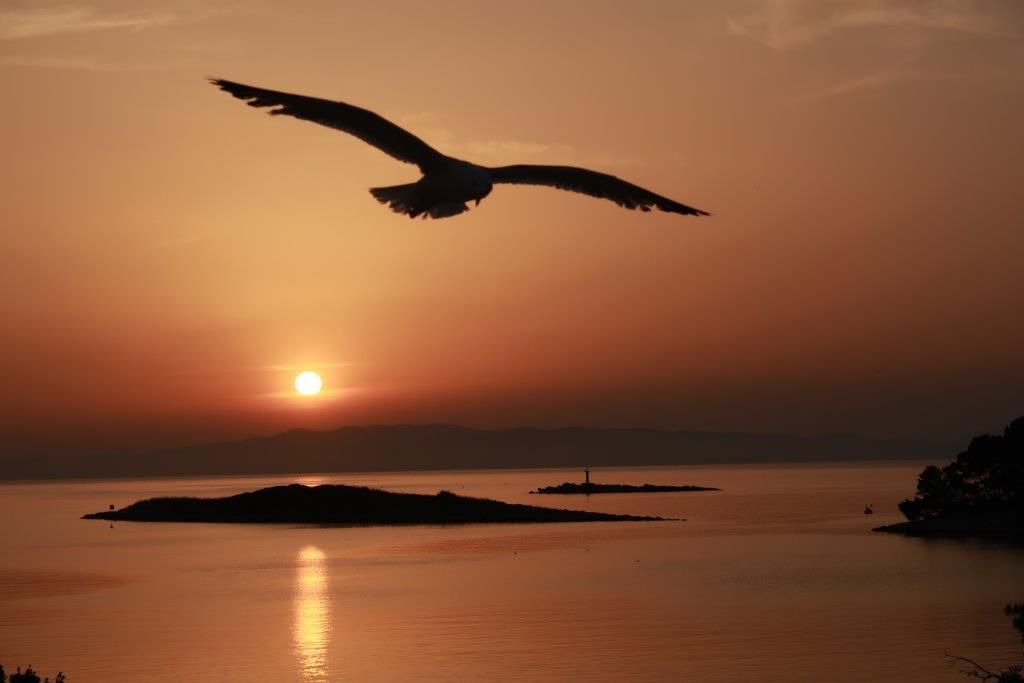 Završen foto natječaj o prirodnoj, kulturnoj i tradicijskoj baštini Mljeta