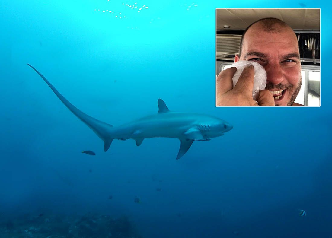 Ribar koji je dobio repom od morskog psa lisice: „Imao sam masnicu 3 dana! Pustili smo ga, to je najljepša riba svijeta!“