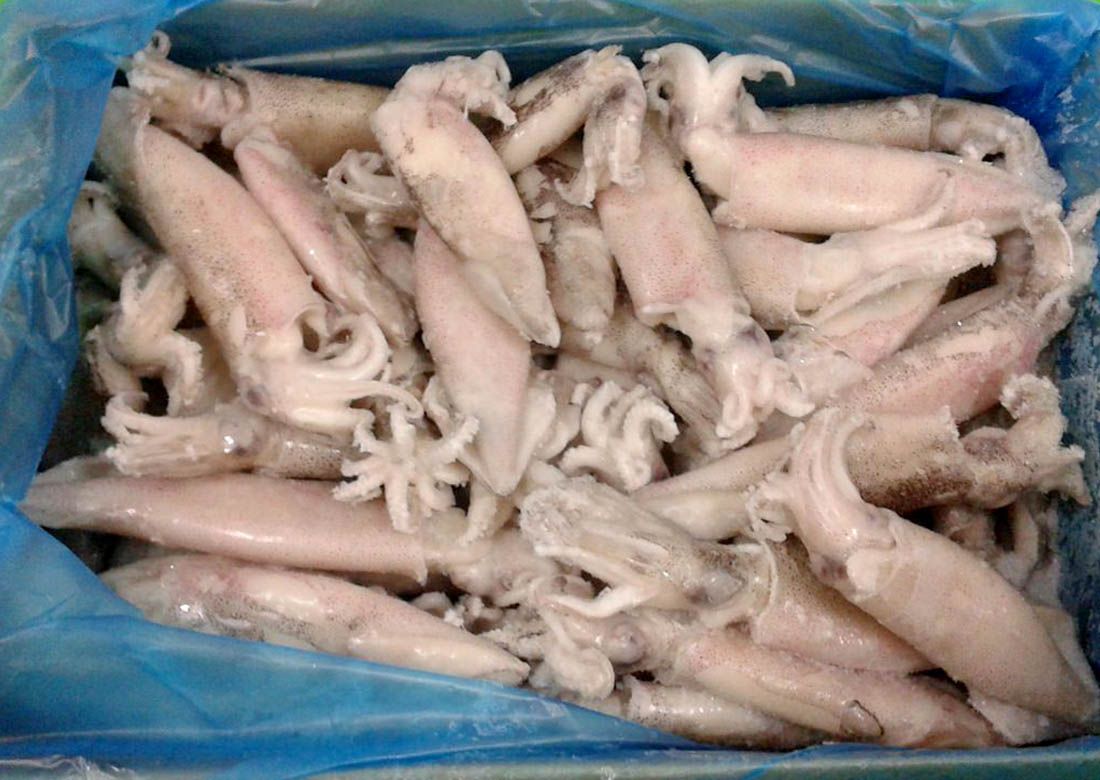 OPOZIV OBAVIJESTI Ponovnom analizom utvrđeno da lignje ne sadržavaju kadmij