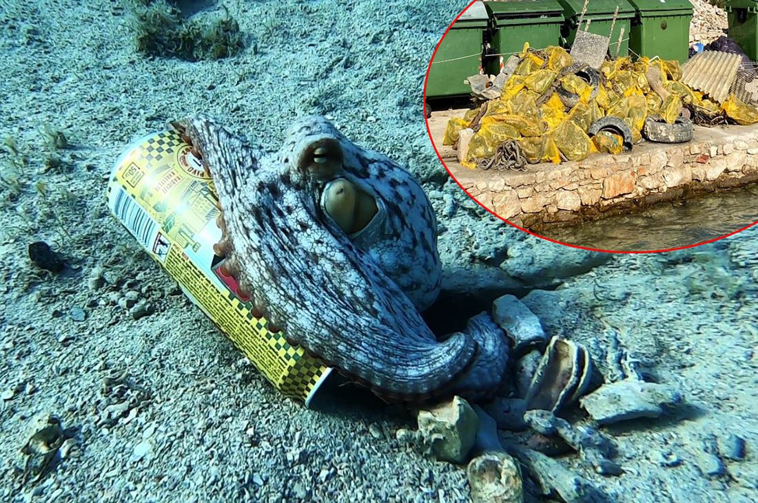 FOTO U dvodnevnoj akciji iz podmorja NP Kornati izvučeno 3 kubika otpada