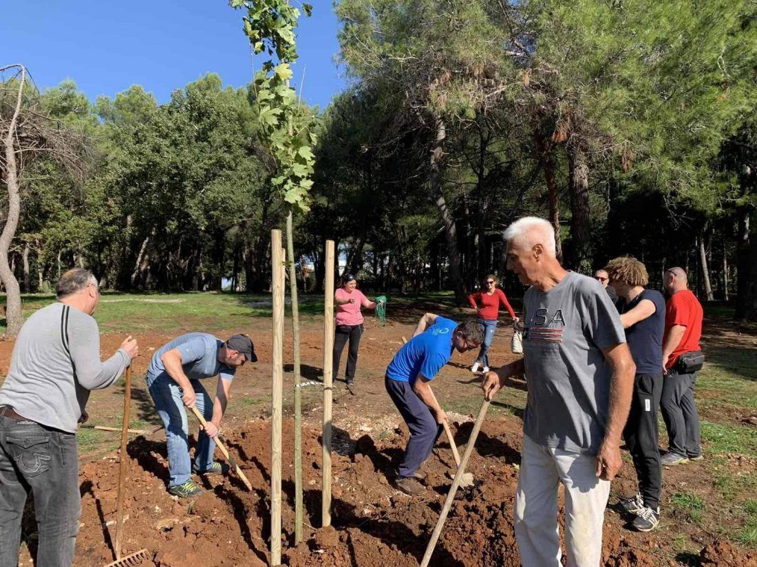 POŠUMLJAVANJE POREČA Ovog tjedna zasadit će se 500 novih stabala