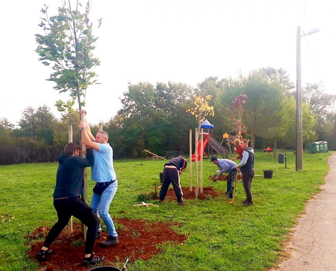 ZASADI STABLO, NE BUDI PANJ Poreč nastavlja s akcijom sadnje – Ove godine novih 500 sadnica