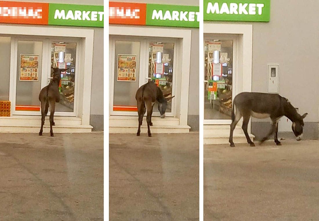 Tovar svratio do dućana na Pelješcu – “Zaboravio masku”, pa otišao