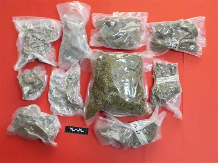 Na zadarskom području zaplijenjeno preko 8 kilogama marihuane